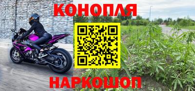 дживик Кунгур