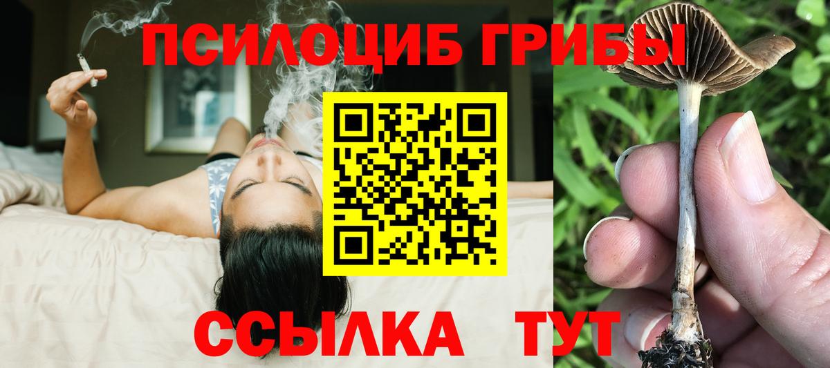 Карпинск  Псилоцибиновые грибы Psilocybe  Вход с VPN 